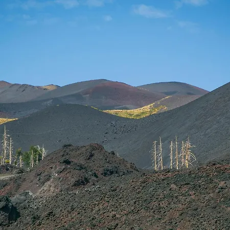 Scarantino 2 Katania